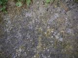 image of grave number 953925